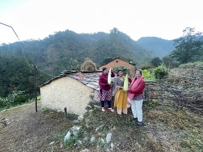 Kuwarji Homestay gallery image 4